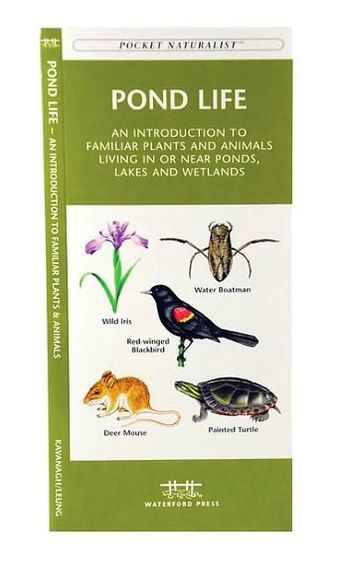 Pond Life: A Folding Pocket Guide to Familiar Plants & Animals Living in or Near Ponds, Lakes & Wetlands