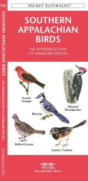 Southern Appalachian Birds: An Introduction to Familiar Species