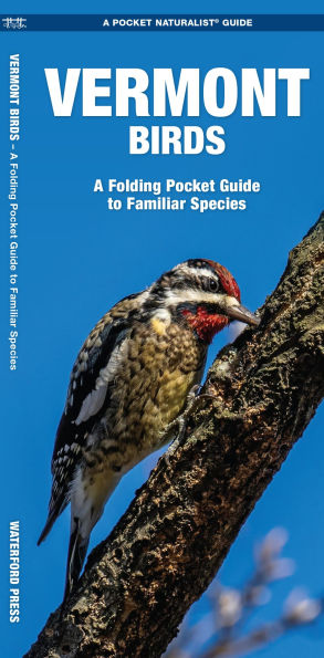 Vermont Birds: A Folding Pocket Guide to Familiar Species