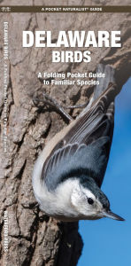 Title: Delaware Birds: A Folding Pocket Guide to Familiar Species, Author: James Kavanagh