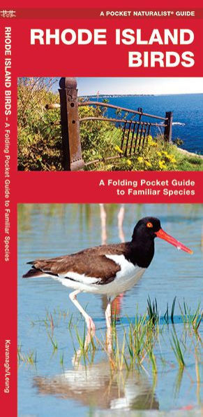 Rhode Island Birds: A Folding Pocket Guide to Familiar Species