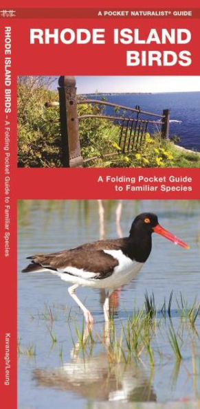 Rhode Island Birds: A Folding Pocket Guide to Familiar Species