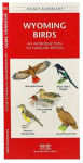 Alternative view 2 of Wyoming Birds: An Introduction to Familiar Species