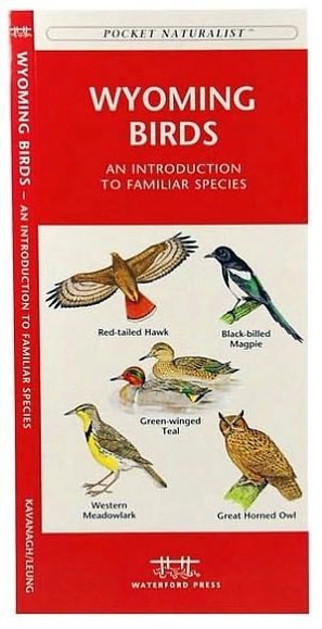 Wyoming Birds: An Introduction to Familiar Species