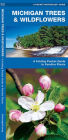 Michigan Trees & Wildflowers: A Folding Pocket Guide to Familiar Plants