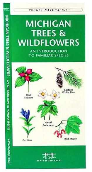 Michigan Trees & Wildflowers: A Folding Pocket Guide to Familiar Plants