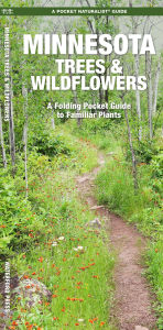 Title: Minnesota Trees & Wildflowers, Author: James Kavanagh Waterford Press