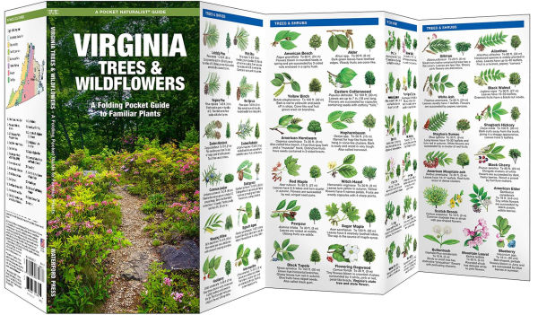 Virginia Trees & Wildflowers