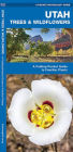 Pocket Naturalist Utah Trees & Wildflowers: An Introduction to Familiar Species of Trees, Shrubs and Wildflowers