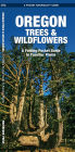 Oregon Trees & Wildflowers: A Folding Pocket Guide to Familiar Plants