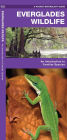 Alternative view 2 of Everglades Wildlife: A Folding Pocket Guide to Familiar Animals