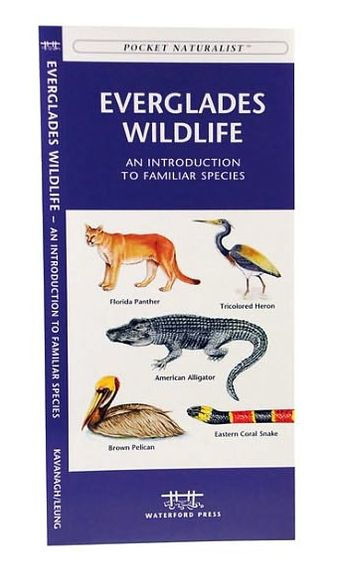 Everglades Wildlife: A Folding Pocket Guide to Familiar Animals