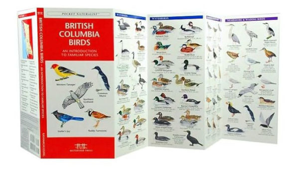 British Columbia Birds: A Folding Pocket Guide to Familiar Species