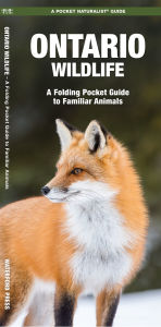 Title: Ontario Wildlife: A Folding Pocket Guide to Familiar Animals, Author: James Kavanagh Waterford Press