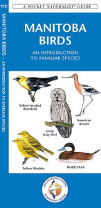 Title: Manitoba Birds: An Introduction to Familiar Species, Author: James Kavanagh