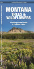 Montana Trees & Wildflowers: A Folding Pocket Guide to Familiar Plants