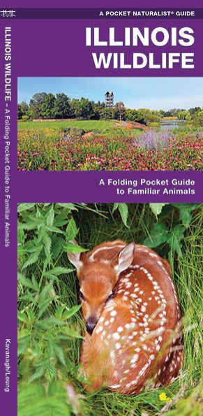 Illinois Wildlife: A Folding Pocket Guide to Familiar Animals