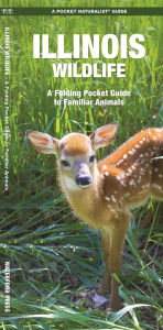 Title: Illinois Wildlife: A Folding Pocket Guide to Familiar Animals, Author: James Kavanagh