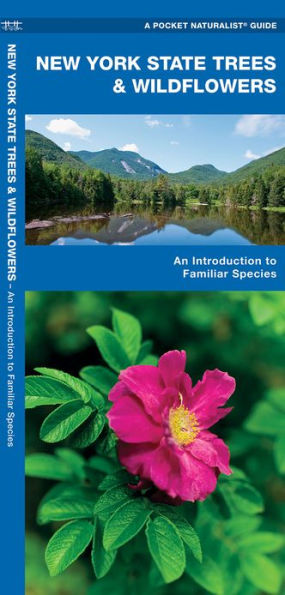 New York State Trees & Wildflowers: A Folding Pocket Guide to Familiar Plants