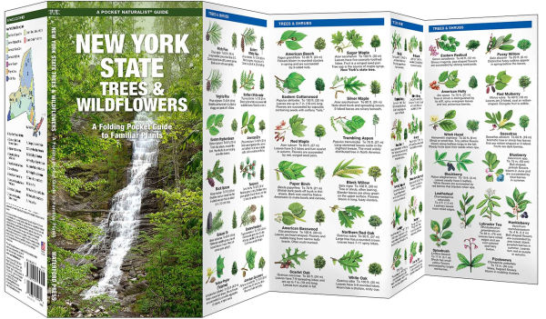 New York State Trees & Wildflowers