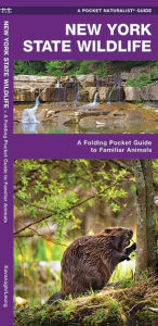 Title: New York State Wildlife: A Folding Pocket Guide to Familiar Animals, Author: Waterford Press