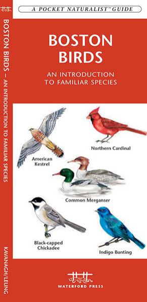 Birds of Boston: An Introduction to Familiar Species of Boston, Massachusetts