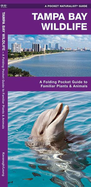 Tampa Bay Wildlife: A Folding Pocket Guide to Familiar Plants & Animals