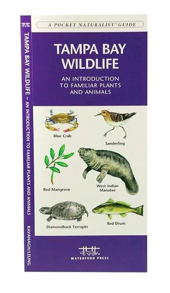 Tampa Bay Wildlife: A Folding Pocket Guide to Familiar Plants & Animals