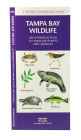 Alternative view 2 of Tampa Bay Wildlife: A Folding Pocket Guide to Familiar Plants & Animals