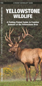 Title: Yellowstone Wildlife: A Folding Pocket Guide to Familiar Animals of the Yellowstone Area, Author: James Kavanagh