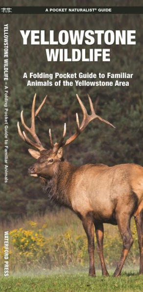 Yellowstone Wildlife: A Folding Pocket Guide to Familiar Animals of the Yellowstone Area