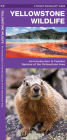 Alternative view 2 of Yellowstone Wildlife: A Folding Pocket Guide to Familiar Animals of the Yellowstone Area