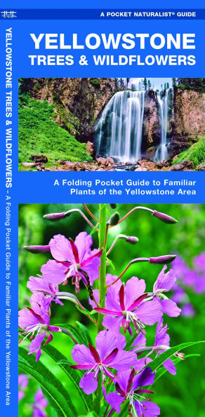 Yellowstone Trees & Wildflowers: A Folding Pocket Guide to Familiar Plants of the Yellowstone Area