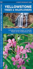 Yellowstone Trees & Wildflowers: A Folding Pocket Guide to Familiar Plants of the Yellowstone Area