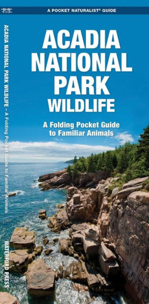 Acadia National Park Wildlife: An Introduction to Familiar Species (Pocket Naturalist Series) / Edition 1