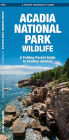 Acadia National Park Wildlife: An Introduction to Familiar Species (Pocket Naturalist Series)