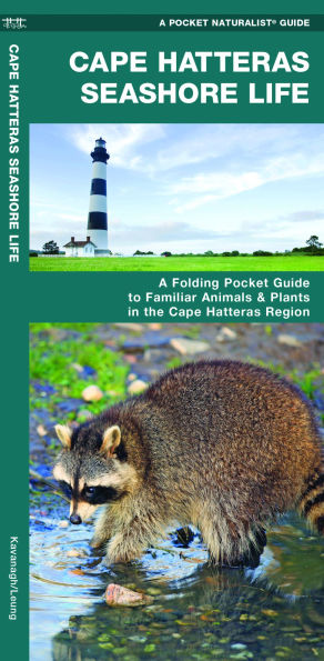 Cape Hatteras Seashore Life: A Folding Pocket Guide to Familiar Plants & Animals in the Cape Hatteras Region