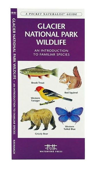 Glacier National Park Wildlife: An Introduction to Familiar Species (Pocket Naturalist Series)