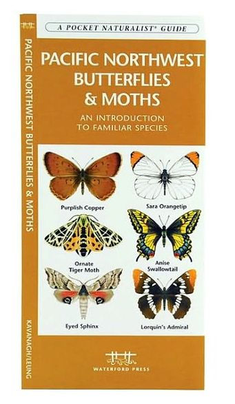 Pacific Northwest Butterflies and Moths: An Introduction to Familiar Species (Pocket Naturalist Series)