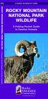 Rocky Mountain National Park Wildlife: A Folding Pocket Guide to Familiar Animals