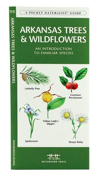 Arkansas Trees and Wildflowers: An Introduction to Familiar Species ...