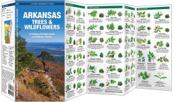 Alternative view 3 of Arkansas Trees and Wildflowers: An Introduction to Familiar Species (Pocket Naturalist - Waterford Press)