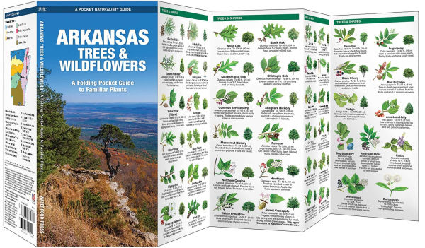 Arkansas Trees and Wildflowers: An Introduction to Familiar Species (Pocket Naturalist - Waterford Press)