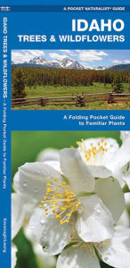Title: Idaho Trees & Wildflowers: A Folding Pocket Guide to Familiar Plants, Author: James Kavanagh