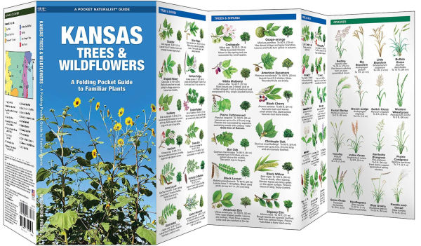 Kansas Trees & Wildflowers