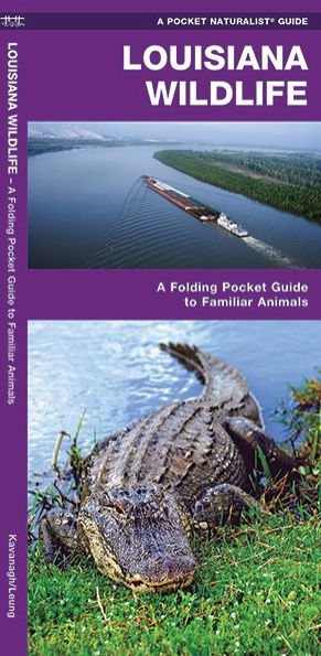 Louisiana Wildlife: A Folding Pocket Guide to Familiar Animals