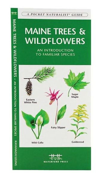 Maine Trees and Wildflowers: An Introduction to Familiar Species (Pocket Naturalist - Waterford Press)