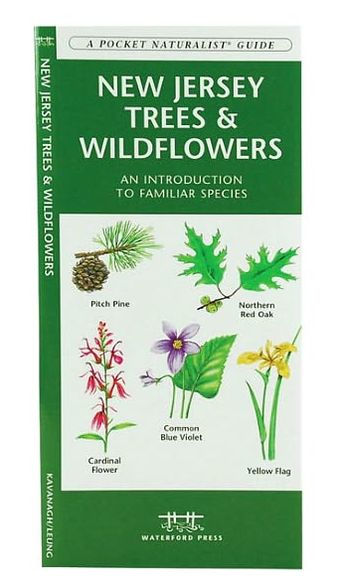 New Jersey Trees and Wildflowers: An Introduction to Familiar Species (Pocket Naturalist - Waterford Press Series)