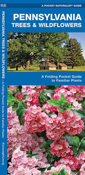 Pennsylvania Trees and Wildflowers: An Introduction to Familiar Species (Pocket Naturalist - Waterford Press)