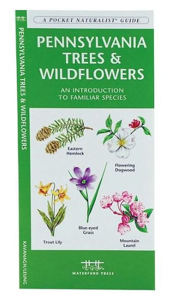 Pennsylvania Trees and Wildflowers: An Introduction to Familiar Species (Pocket Naturalist - Waterford Press)